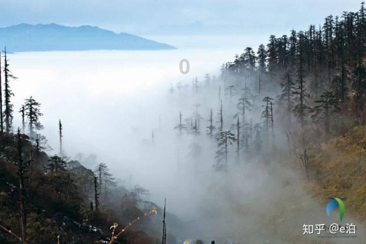我市首次举行电影文艺春晚