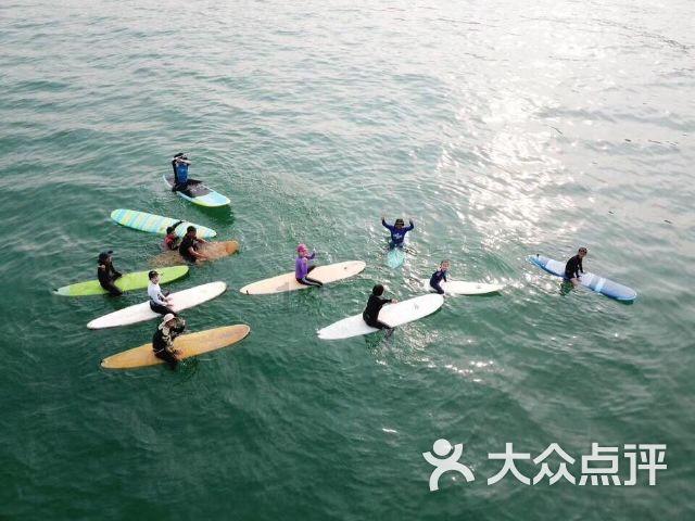 超能动物联盟